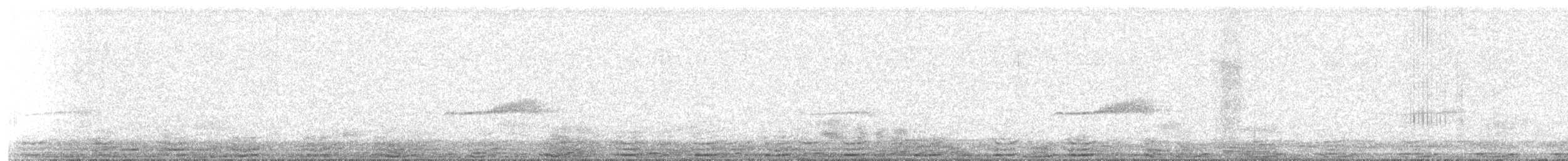 Western Wood-Pewee - ML645380014