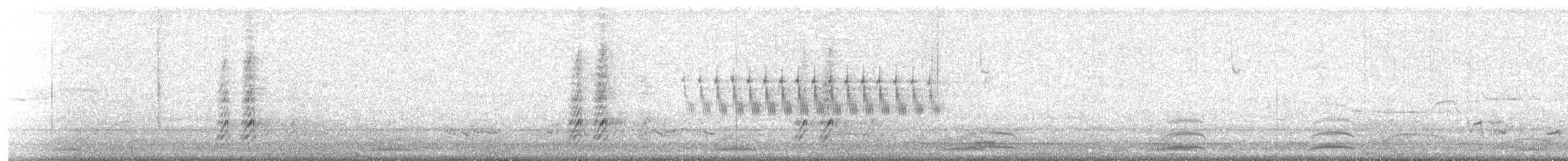 Black-billed Magpie - ML645380193