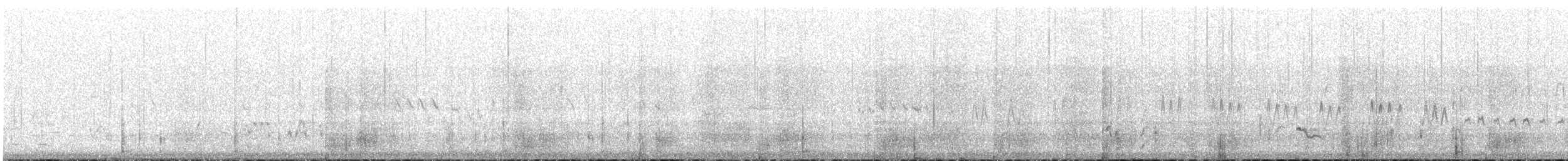 Banded Whiteface - ML645380882