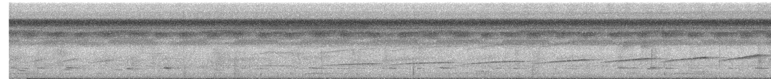 Мурав’янка-куцохвіст велика - ML645381087