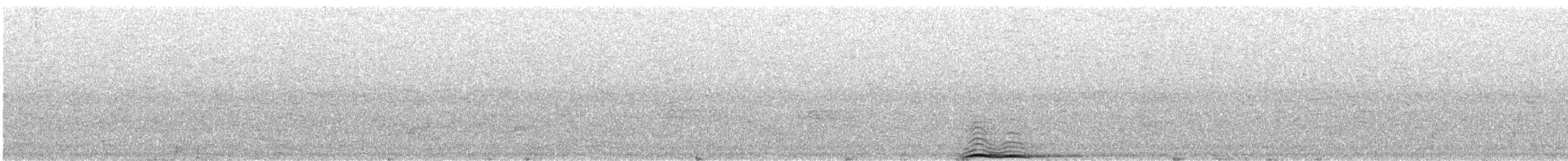 Сова довгохвоста - ML645381218