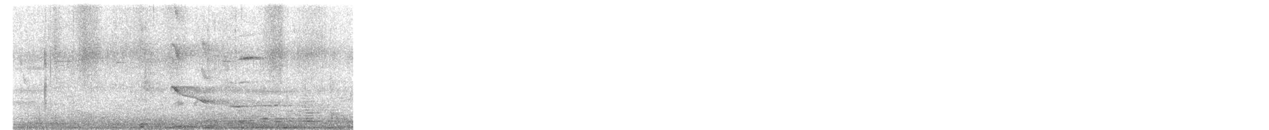 Трупіал-чернець кубинський - ML645381261