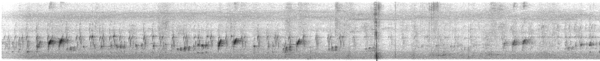 Принія попеляста - ML645381379