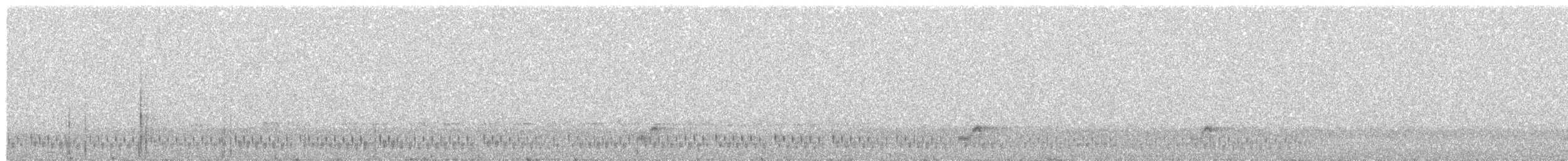 Дрімлюга звичайний - ML645381513