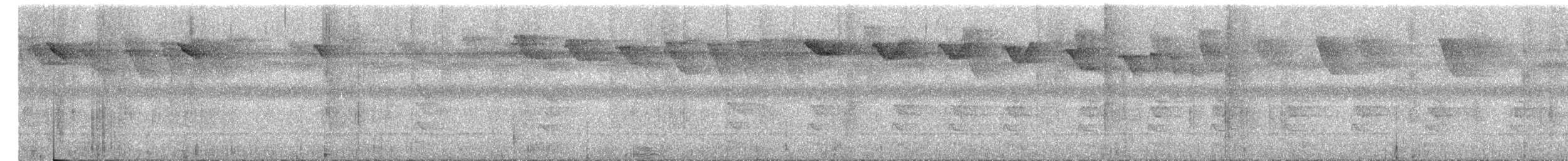 Ерміт рудий - ML645381560