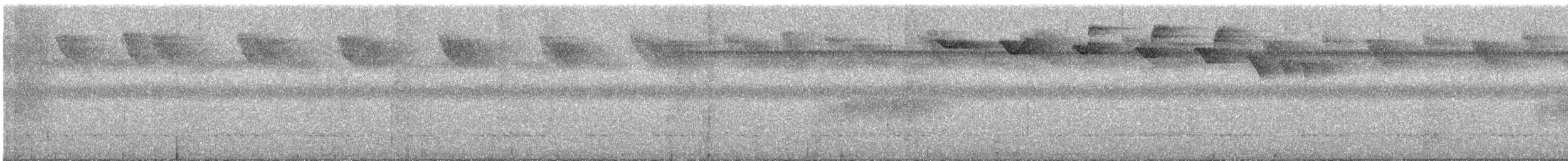 Ерміт рудий - ML645381561