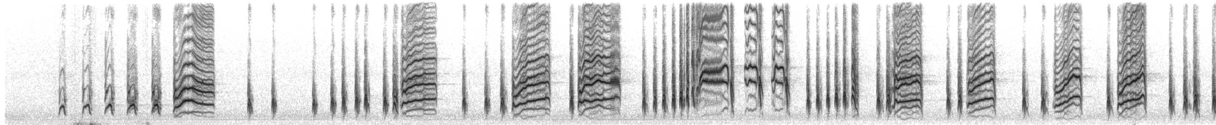 Дрізд чорний - ML645381794