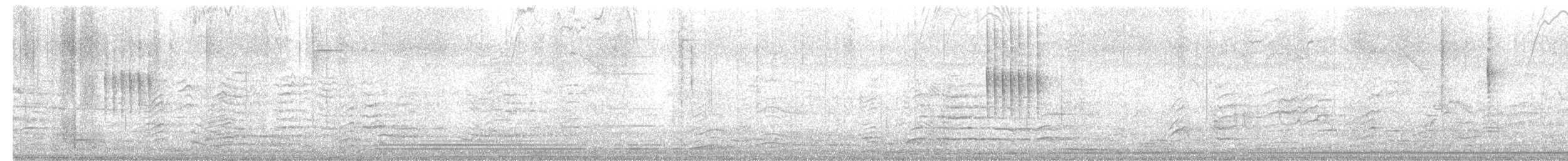 dvergfluesnapper - ML645381811