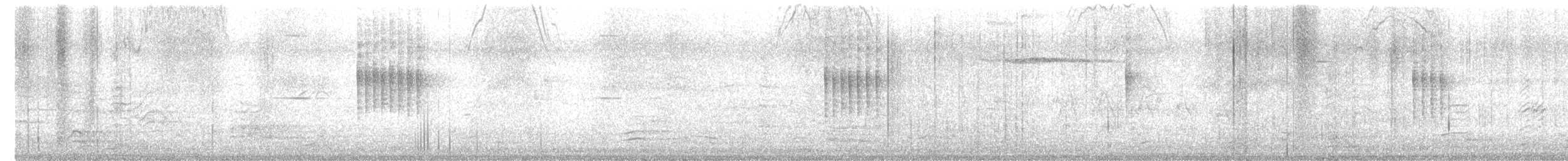 dvergfluesnapper - ML645381813