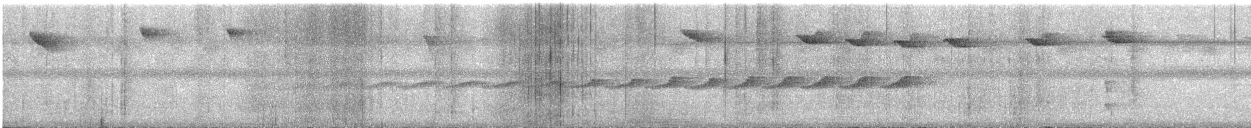 blekøyetodityrann - ML645381834