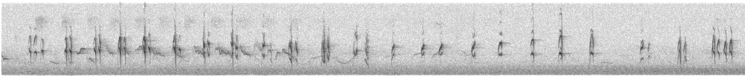 kappsukkerfugl - ML645381836