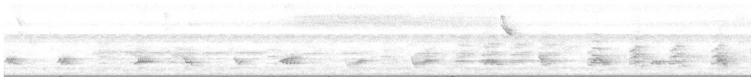 Creamy-bellied Thrush - ML645382127