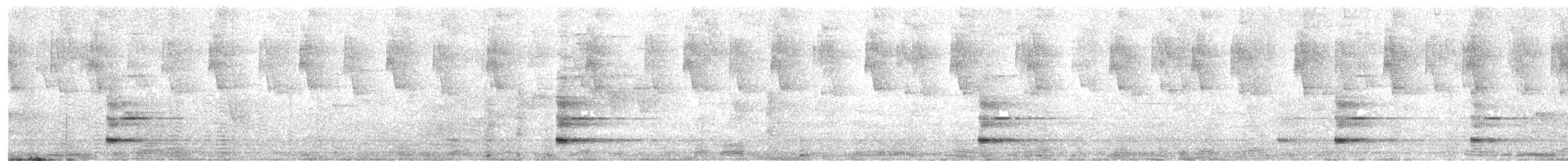 Bare-throated Bellbird - ML645382178