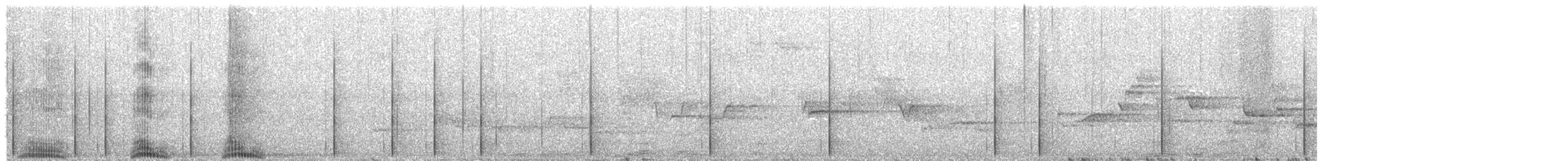 Бородатая неясыть - ML645382461