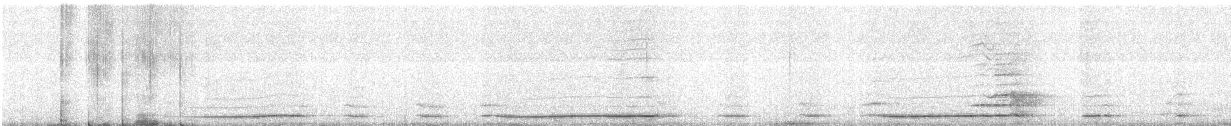 Chouette hulotte - ML645382610