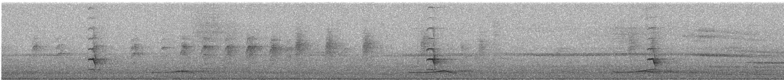 Black-naped Oriole (East Asian) - ML645382661