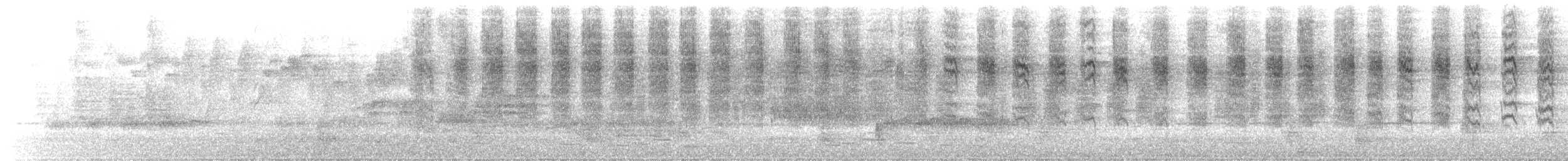 White-browed Scrubwren (White-browed) - ML645382665