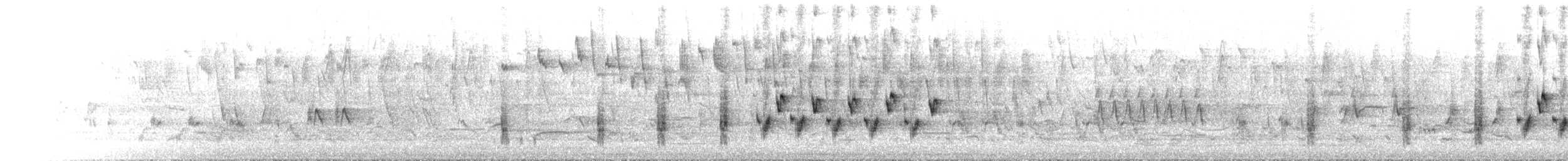 rákosník australský - ML645382686