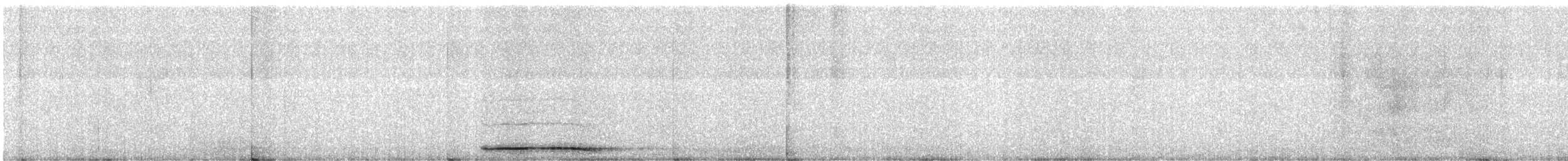 puštík obecný - ML645382687