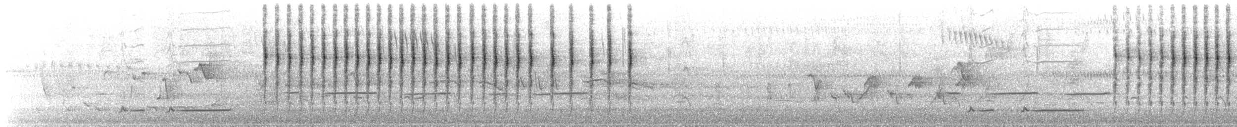 Little Grassbird - ML645382693