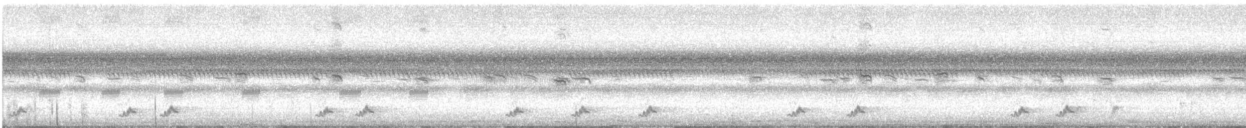 lelek portorický - ML645382698