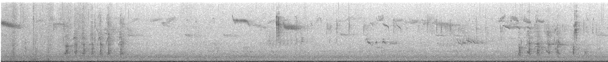 Zorzal Real - ML645382923