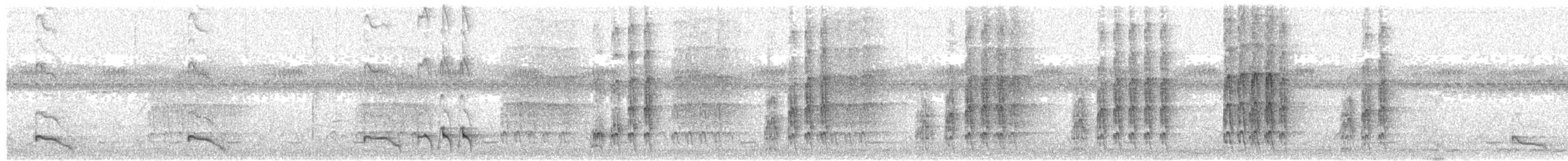 Levaillant's Cuckoo - ML645382988