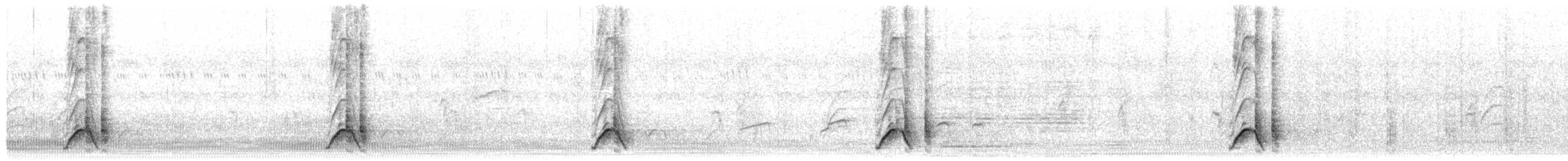 Bubú Coronigualdo - ML645383088