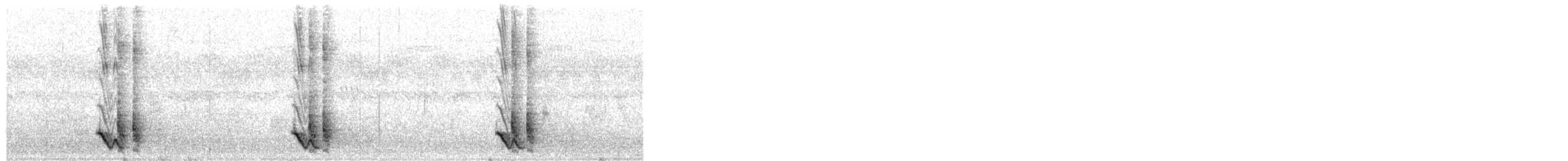 Bubú Coronigualdo - ML645383089