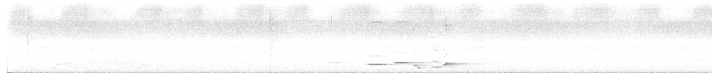 Picanzo Gris - ML645383171