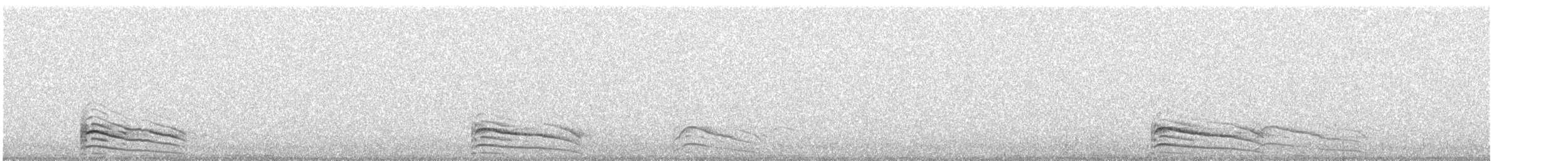 Busardo Ratonero - ML645383209