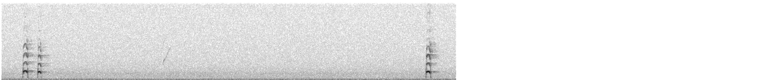 Gallineta Común - ML645383210