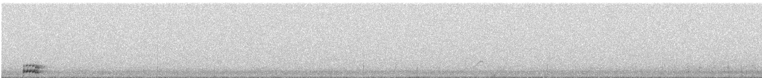 Gallineta Común - ML645383212