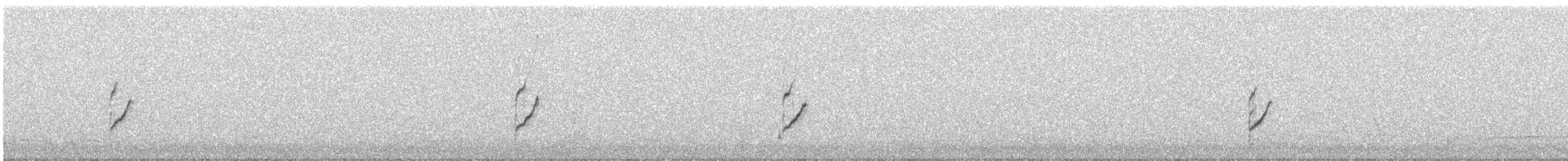 紅冠水雞 - ML645383213