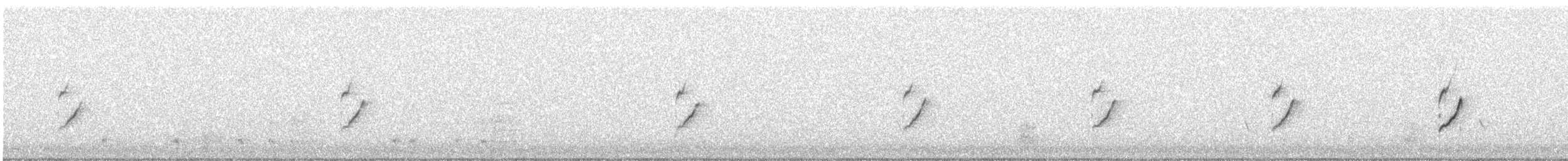 Mosquitero Común - ML645383214