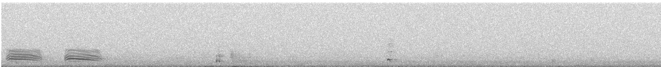 Corneja Negra - ML645383215