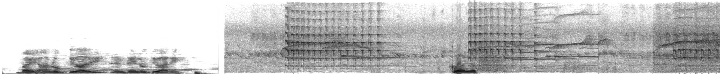 datel zlatopláštíkový - ML645383544