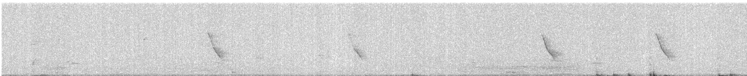 Common Tailorbird - ML645383901