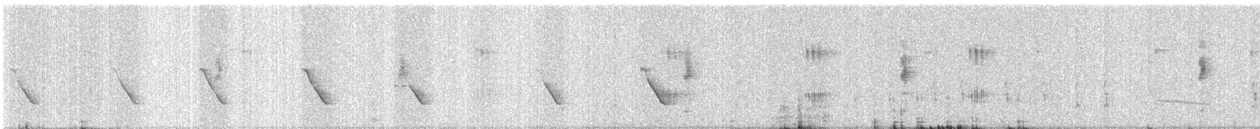 Common Tailorbird - ML645383924