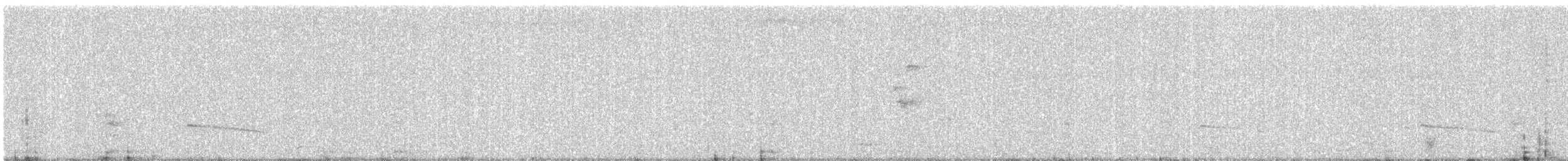 Gray-bellied Cuckoo - ML645384002