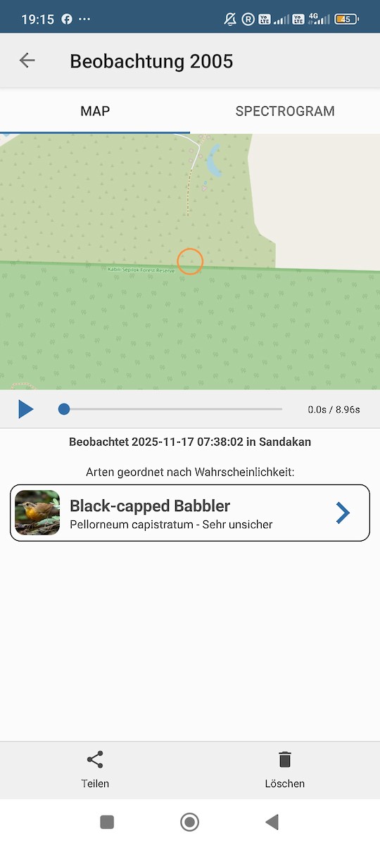 Bornean Black-capped Babbler - ML645384003