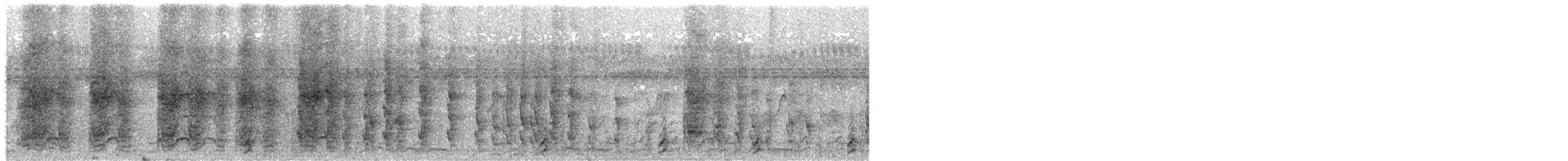 Brown Babbler - ML645384034