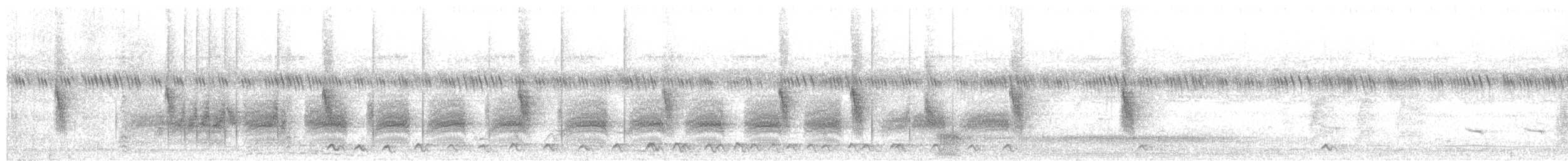 Brown-throated Wattle-eye - ML645384045