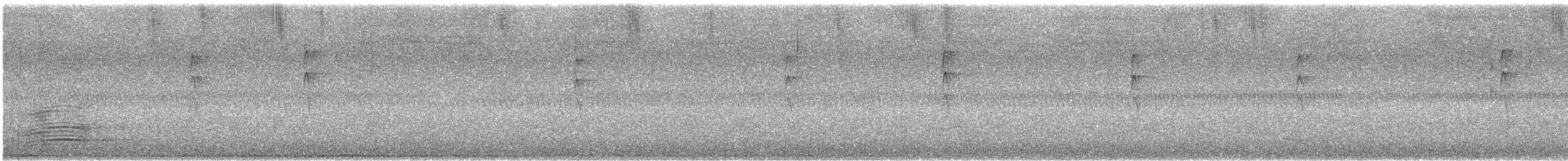 Gray Fantail (preissi) - ML645384181