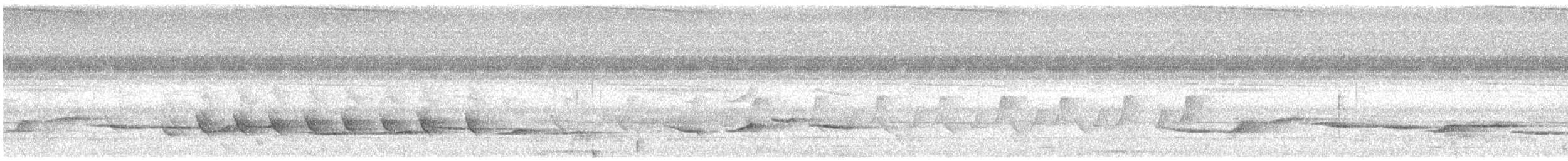 White-crowned Shama - ML645384242