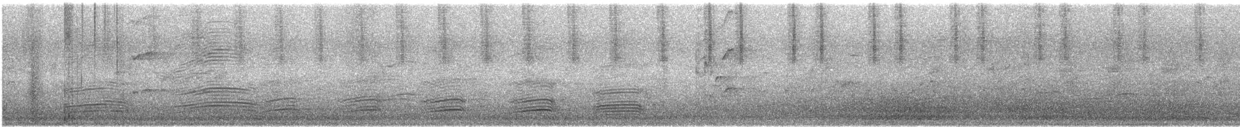 Australian Raven - ML645384248