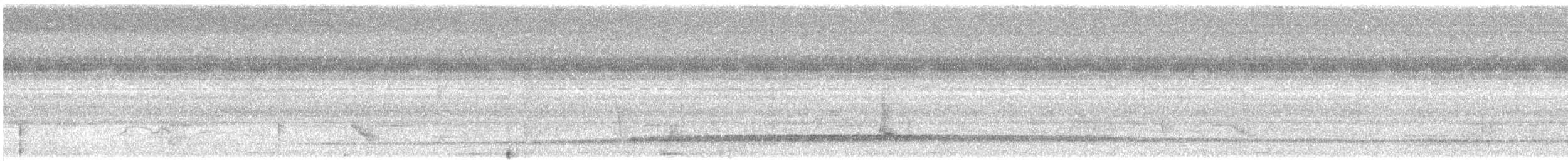 Banded Broadbill - ML645384252