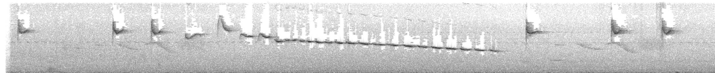 White-browed Warbler - ML645384258