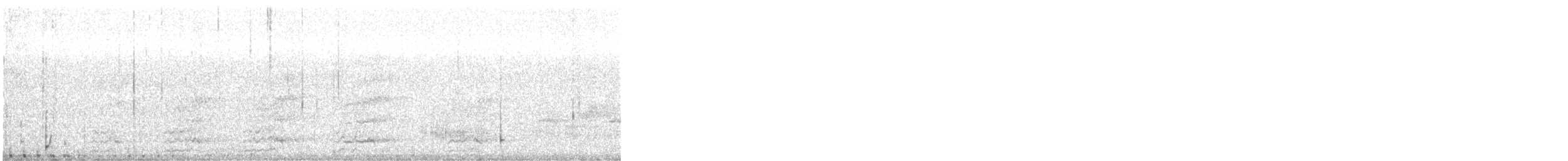 Anatra sposa - ML645384691