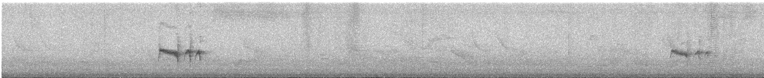 Euler's Flycatcher - ML645384797